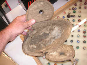 pict1319.jpg (117220 bytes)