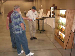 pict1357.jpg (118780 bytes)