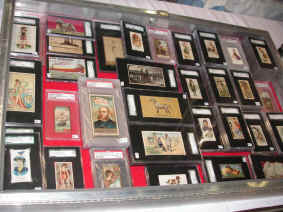 pict6824.jpg (233906 bytes)