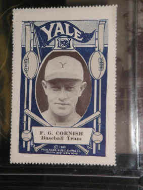 pict7204.jpg (296273 bytes)