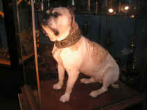 PICT1828_1200x900.jpg (171769 bytes)