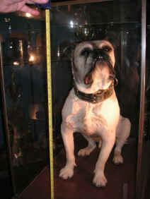 PICT1830_900x1200.jpg (146690 bytes)