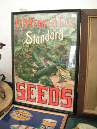 PICT0658_900x1200.jpg (154227 bytes)