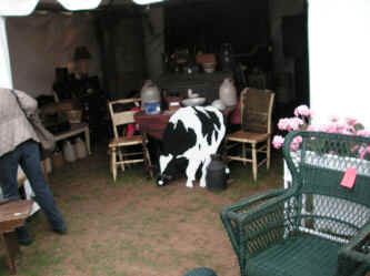 PICT0740_1200x900.jpg (159083 bytes)