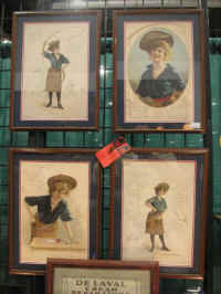 PICT7559_900x1200.jpg (84359 bytes)